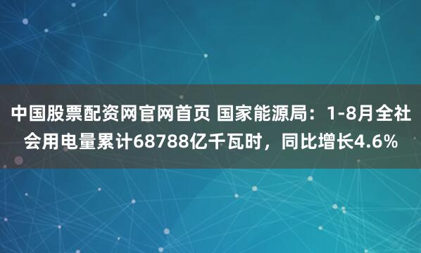中国股票配资网官网首页 国家能源局：1-8月全社会用电量累计68788亿千瓦时，同比增长4.6%
